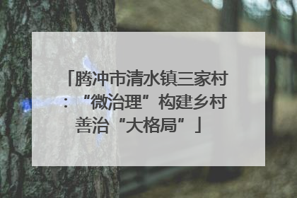腾冲市清水镇三家村：“微治理”构建乡村善治“大格局”