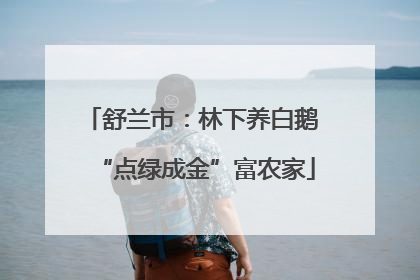 舒兰市：林下养白鹅 “点绿成金”富农家