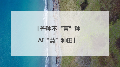 芒种不“盲”种 AI“慧”种田