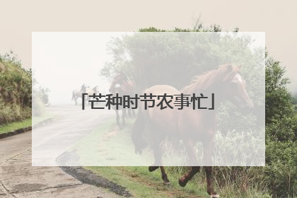 芒种时节农事忙