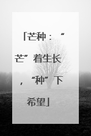 芒种：“芒”着生长，“种”下希望