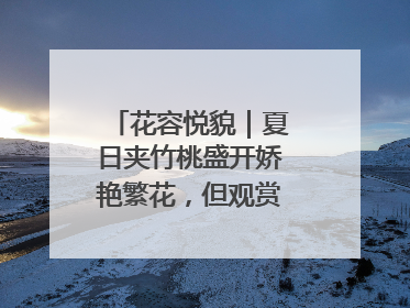 花容悦貌｜夏日夹竹桃盛开娇艳繁花，但观赏时“碰不得”