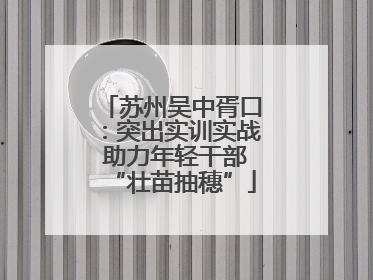 苏州吴中胥口：突出实训实战 助力年轻干部“壮苗抽穗”