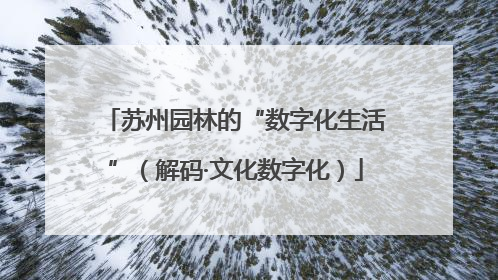 苏州园林的“数字化生活”（解码·文化数字化）