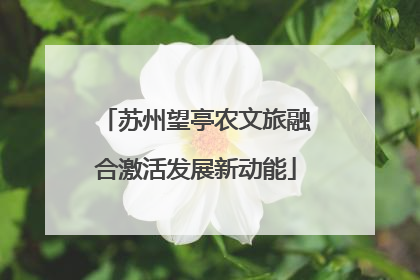 苏州望亭农文旅融合激活发展新动能