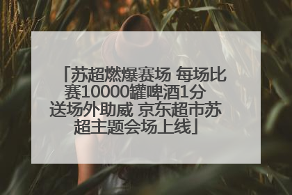 苏超燃爆赛场 每场比赛10000罐啤酒1分送场外助威 京东超市苏超主题会场上线