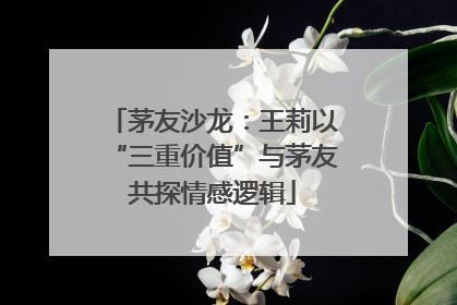 茅友沙龙：王莉以“三重价值”与茅友共探情感逻辑