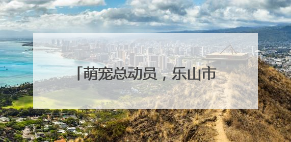萌宠总动员，乐山市中区土主幼儿园教育集团举行庆六一活动