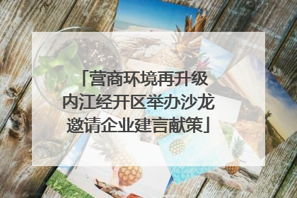 营商环境再升级 内江经开区举办沙龙邀请企业建言献策