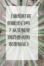 葡萄籽真的能美白吗？从实验室到消费者的双重验证