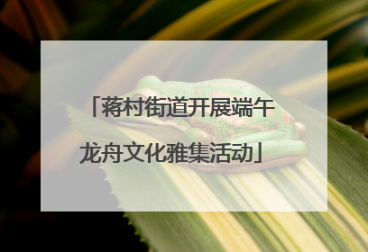 蒋村街道开展端午龙舟文化雅集活动