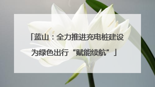 蓝山：全力推进充电桩建设 为绿色出行“赋能续航”