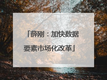 薛刚：加快数据要素市场化改革