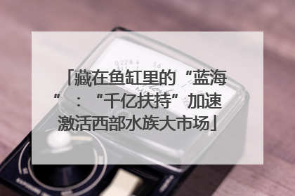 藏在鱼缸里的“蓝海”：“千亿扶持”加速激活西部水族大市场