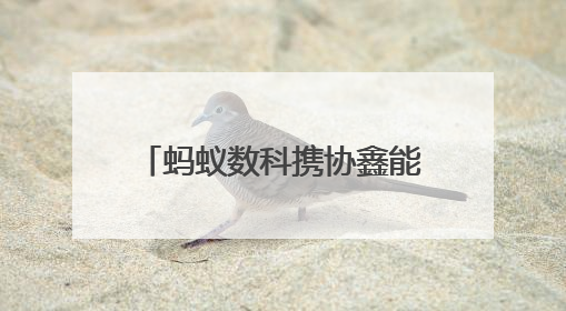 蚂蚁数科携协鑫能科成立蚂蚁鑫能 推进能源智能化