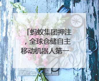 蚂蚁集团押注，全球仓储自主移动机器人第一股要来了｜IPO直通车