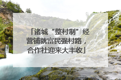 诸城“整村制”经营铺就富民强村路，合作社迎来大丰收