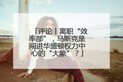 评论丨离职“效率部”，马斯克是闯进华盛顿权力中心的“大象”？