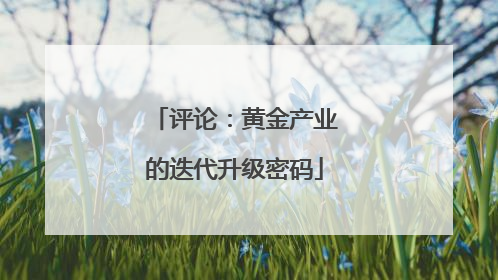 评论：黄金产业的迭代升级密码