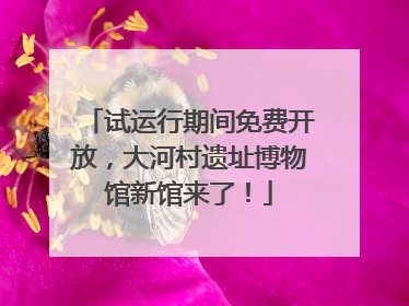 试运行期间免费开放，大河村遗址博物馆新馆来了！