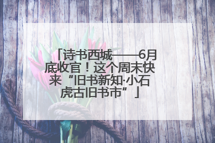 诗书西城——6月底收官！这个周末快来“旧书新知·小石虎古旧书市”
