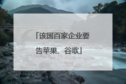 该国百家企业要告苹果、谷歌