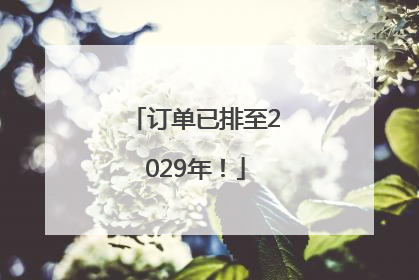订单已排至2029年！