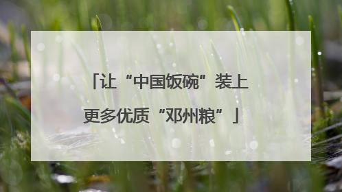 让“中国饭碗”装上更多优质“邓州粮”