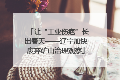 让“工业伤疤”长出春天——辽宁加快废弃矿山治理观察