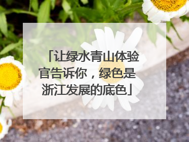 让绿水青山体验官告诉你，绿色是浙江发展的底色