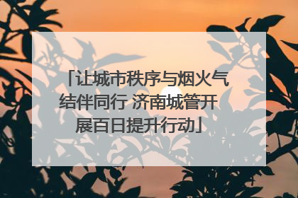让城市秩序与烟火气结伴同行 济南城管开展百日提升行动