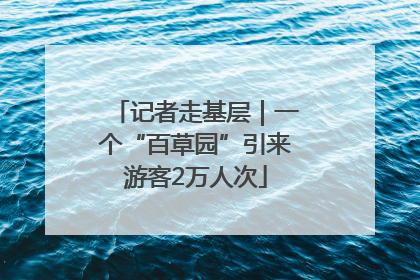 记者走基层｜一个“百草园”引来游客2万人次