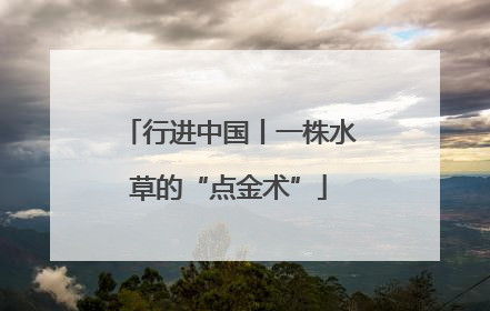 行进中国丨一株水草的“点金术”