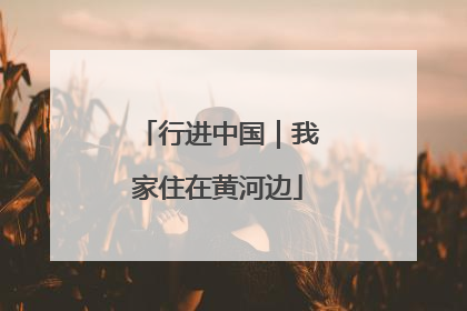 行进中国｜我家住在黄河边