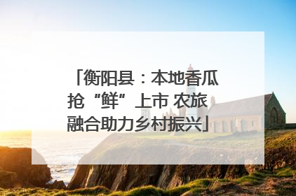 衡阳县：本地香瓜抢“鲜”上市 农旅融合助力乡村振兴