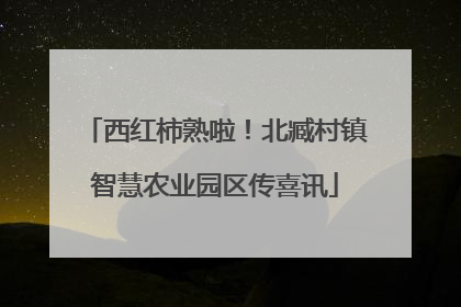 西红柿熟啦！北臧村镇智慧农业园区传喜讯