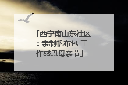 西宁南山东社区：亲制帆布包 手作感恩母亲节