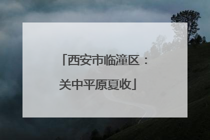 西安市临潼区：关中平原夏收