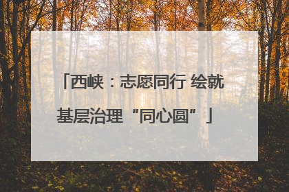 西峡：志愿同行 绘就基层治理“同心圆”