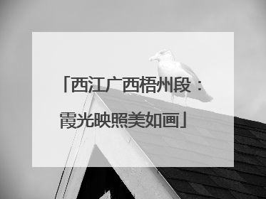 西江广西梧州段：霞光映照美如画