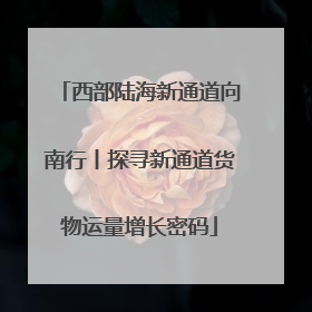 西部陆海新通道向南行丨探寻新通道货物运量增长密码