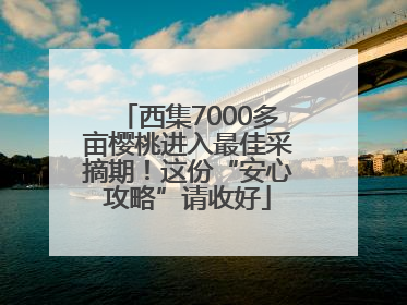 西集7000多亩樱桃进入最佳采摘期！这份“安心攻略”请收好