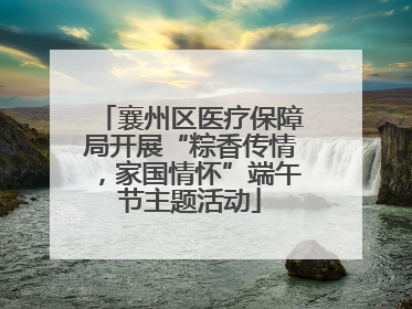 襄州区医疗保障局开展“粽香传情，家国情怀”端午节主题活动