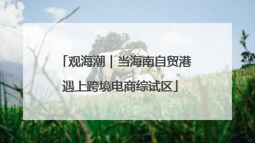 观海潮｜当海南自贸港遇上跨境电商综试区