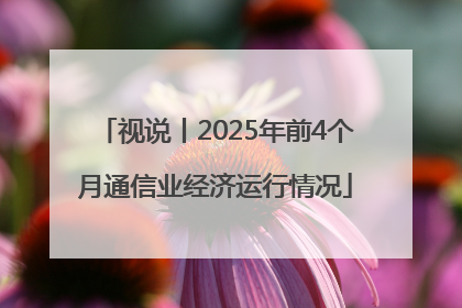 视说丨2025年前4个月通信业经济运行情况