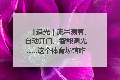 追光｜流量测算、自动开门、智能调光……这个体育场馆咋这么先进？