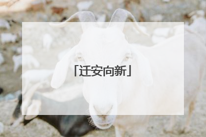 迁安向新