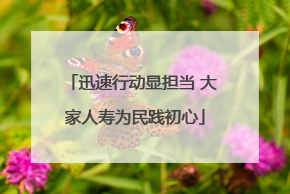 迅速行动显担当 大家人寿为民践初心