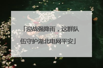 迎战强降雨，这群队伍守护湖北电网平安