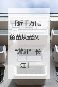 近千万尾鱼苗从武汉“游进”长江